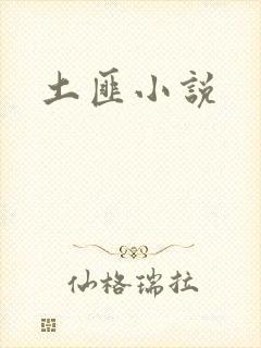 土匪小说