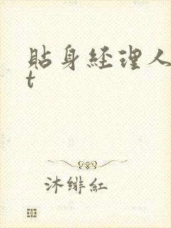 贴身经理人txt封面