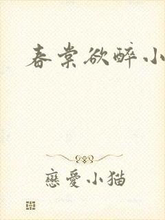 春棠欲醉小说