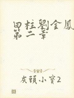 田柱刘金凤小说第二章封面