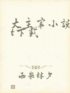 大主宰小说txt下载