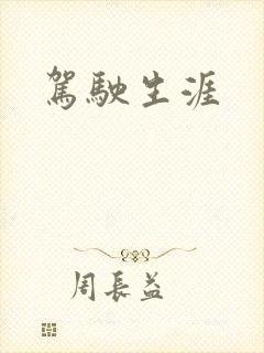 驾驶生涯