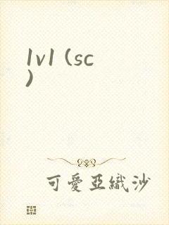 1v1 (sc)