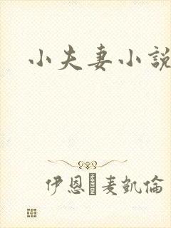 小夫妻小说封面