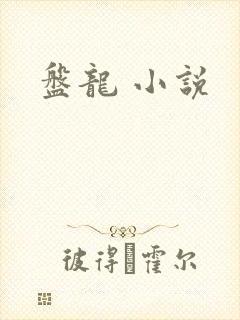 盘龙 小说封面