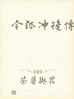 令狐冲后传封面