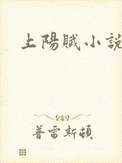 上阳赋小说