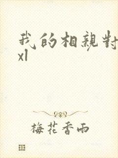 我的相亲对象是xl封面