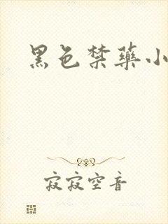 黑色禁药小说