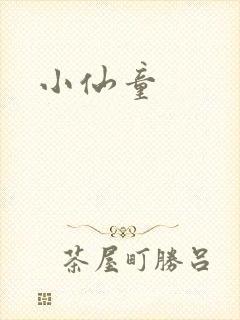 小仙童封面