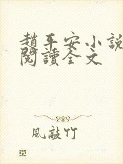 赵平安小说免费阅读全文封面