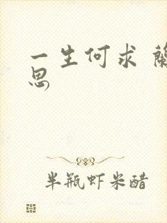 一生何求 兰思思