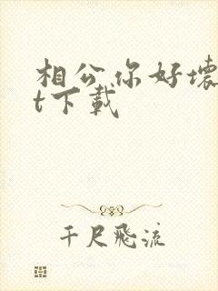 相公你好坏txt下载