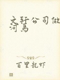 文轩公司做扩张河马