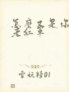怎么又是你by老红军封面