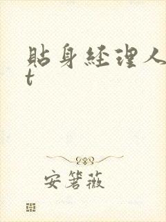 贴身经理人txt