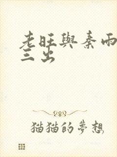 老旺与秦雨三进三出
