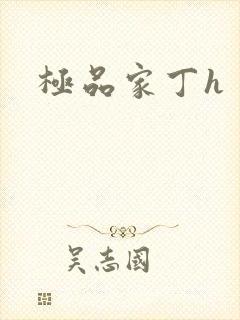 极品家丁h