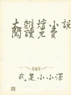 大杂烩小说全集阅读免费