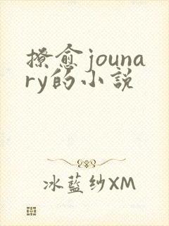 撩愈jounary的小说