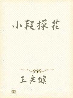 小段探花