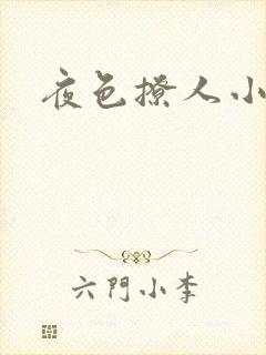 夜色撩人小说