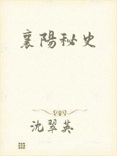 襄阳秘史