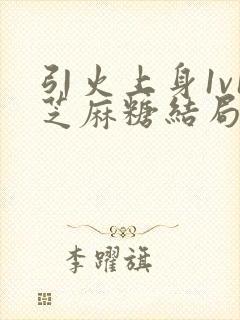 引火上身1v1芝麻糖结局封面