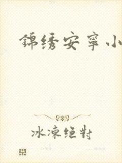 锦绣安宁小说封面