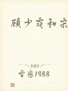 顾少霆和宋斯曼