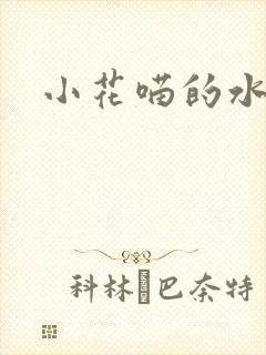 小花喵的水蜜桃封面