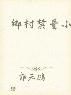 乡村禁爱小说封面