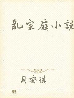 乱家庭小说封面