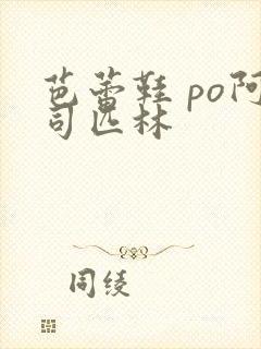 芭蕾鞋 po阿司匹林封面