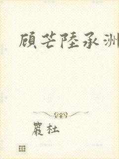 顾芒陆承洲