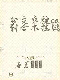 公交车被cao到合不拢腿视频