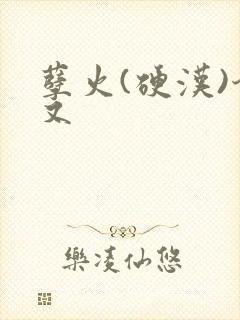 孽火(硬汉)今又
