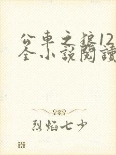 公车之狼12集全小说阅读