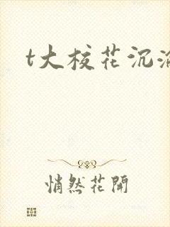 t大校花沉沦封面