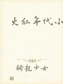 火红年代小说