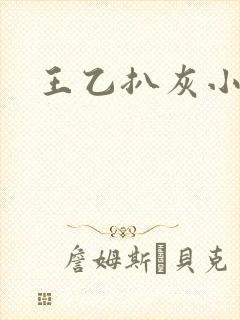王乙扒灰小说