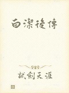 白洁后传封面