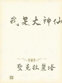我是大神仙小说