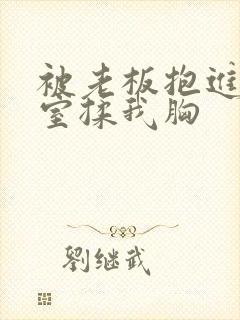 被老板抱进办公室揉我胸