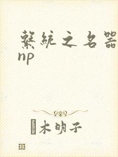 系统之名器攻略np