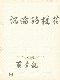 沉沦的校花
