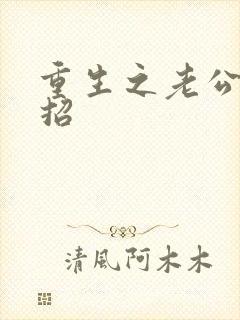 重生之老公请接招封面