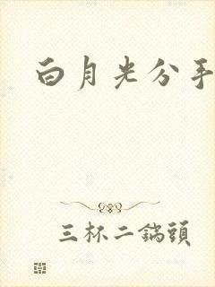 白月光分手日常