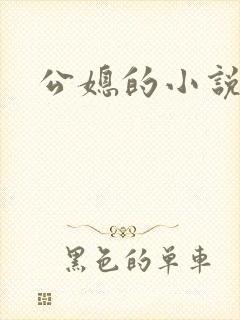 公媳的小说