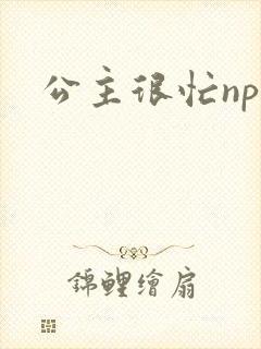 公主很忙npc